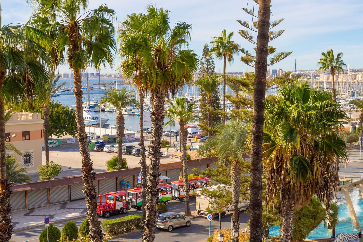 Torrevieja Center (Alicante)
