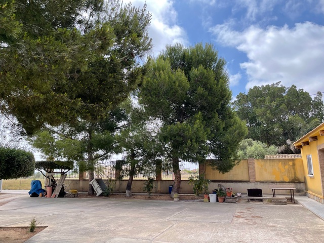 Los Montesinos (Alicante)